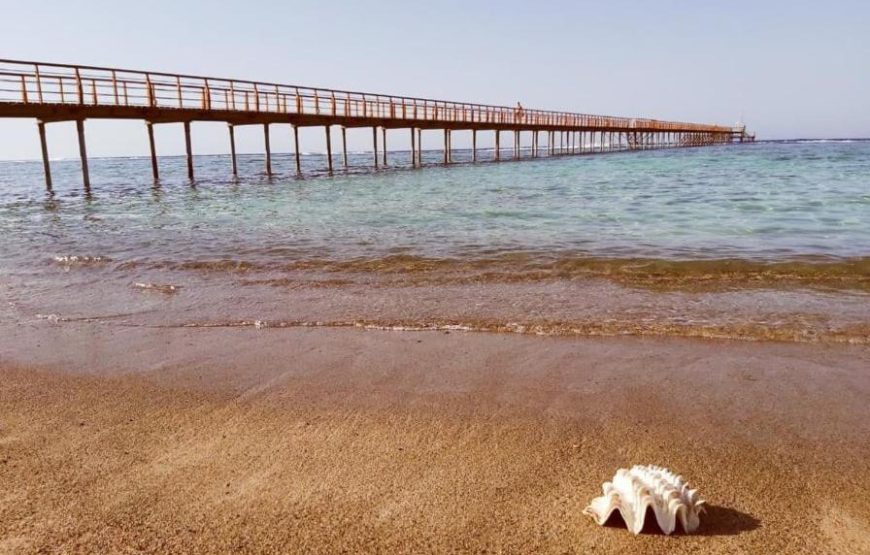 Lazuli Hotel Marsa Alam El Quseir | فندق لازولي مرسى علم القصير