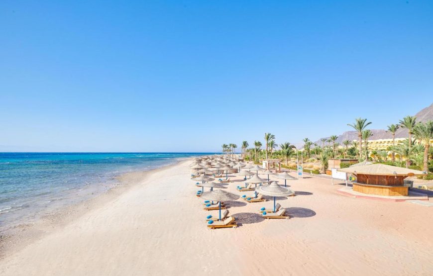 موزاييك طابا – Mosaique Beach Resort Taba Heights