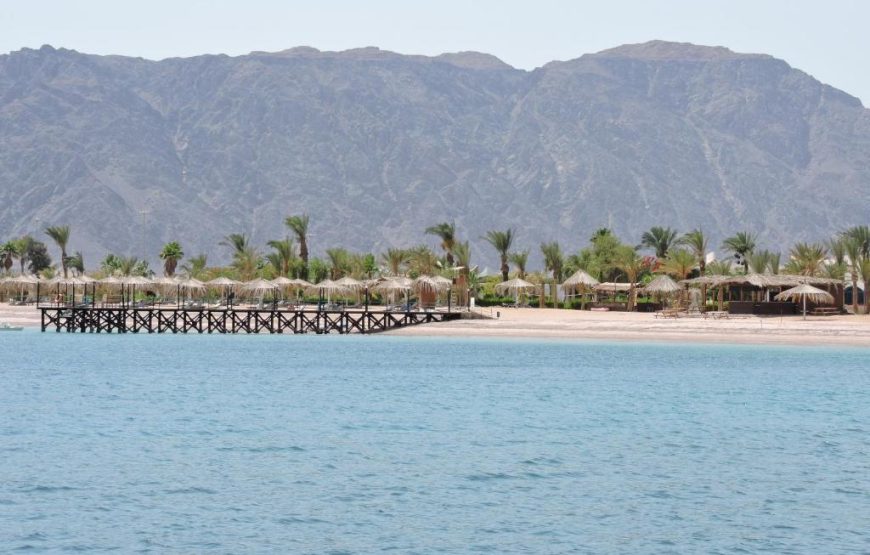 تايم كورال نوبيع ريزورت – TIME Coral Nuweiba Resort