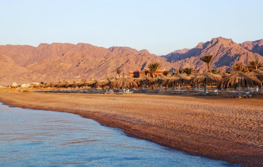 تايم كورال نوبيع ريزورت – TIME Coral Nuweiba Resort