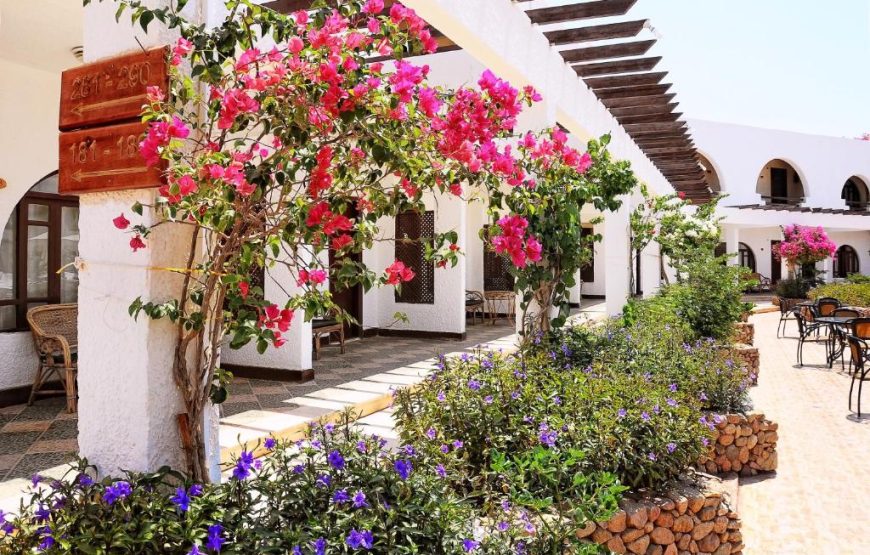 Aida Hotel Sharm El Sheikh – فندق عايده